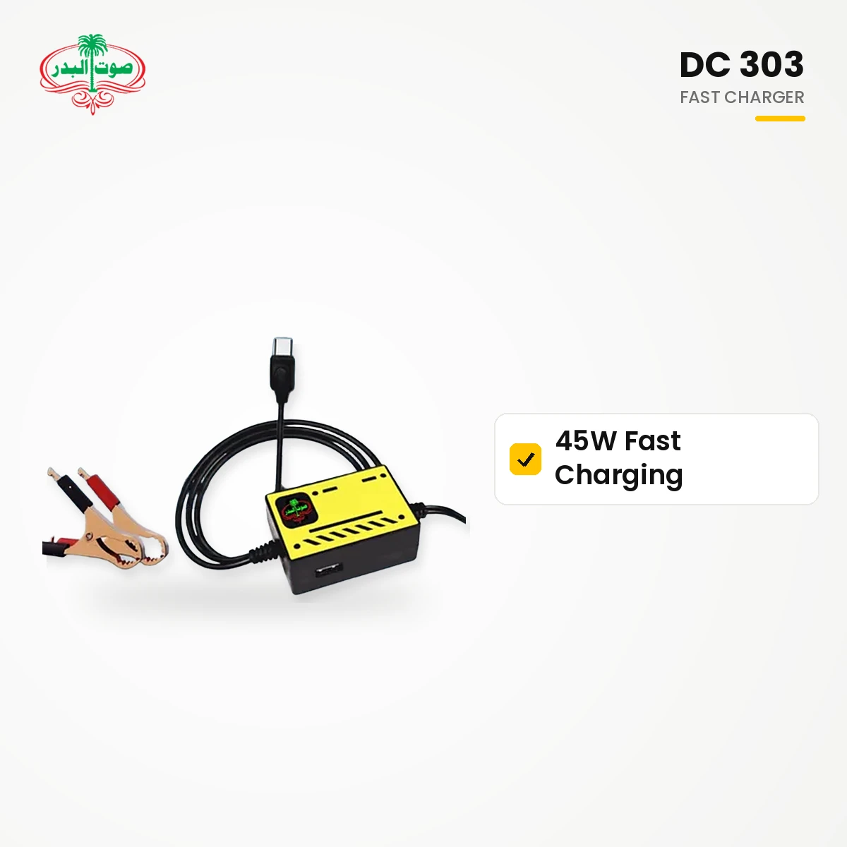 DC 303 45W Fast Charger